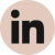 LinkedIn-icone